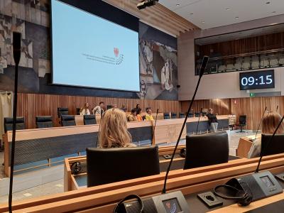 3. Conflict Resolution Strategies  MEETING IN BOLZANO (April 29 – May 3, 2026): Bilder 1