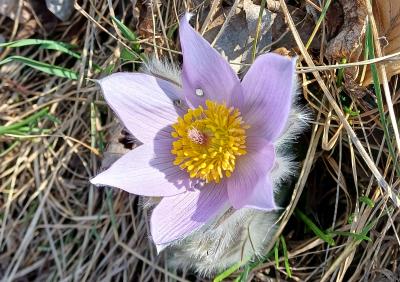 2. Zlaté Moravce: Second meeting 13.3. – 19.3.2026: Olympic message of peace: Harmony of body and spirit as a tool for overcoming conflicts: Pictures 2